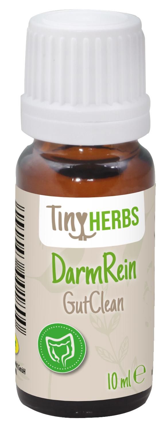 Kräuter, Pflanze, Astragalus, Würzen, Sirup