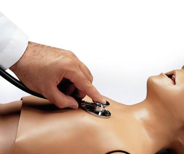 Erler-Zimmer Herz- und Lungentonsimulation mit Stethoskop für R17720