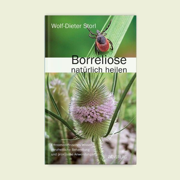 Tier, Insekt, Wirbellose, Blume, Pflanze