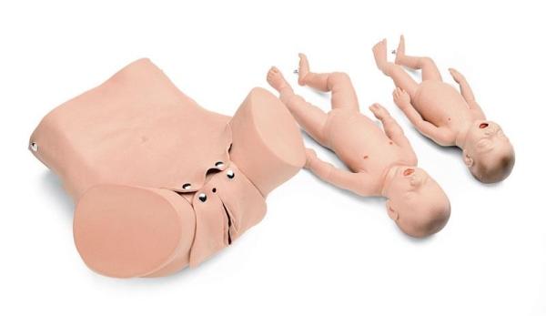 Erler-Zimmer Geburtssimulator Zange/Saugglocke