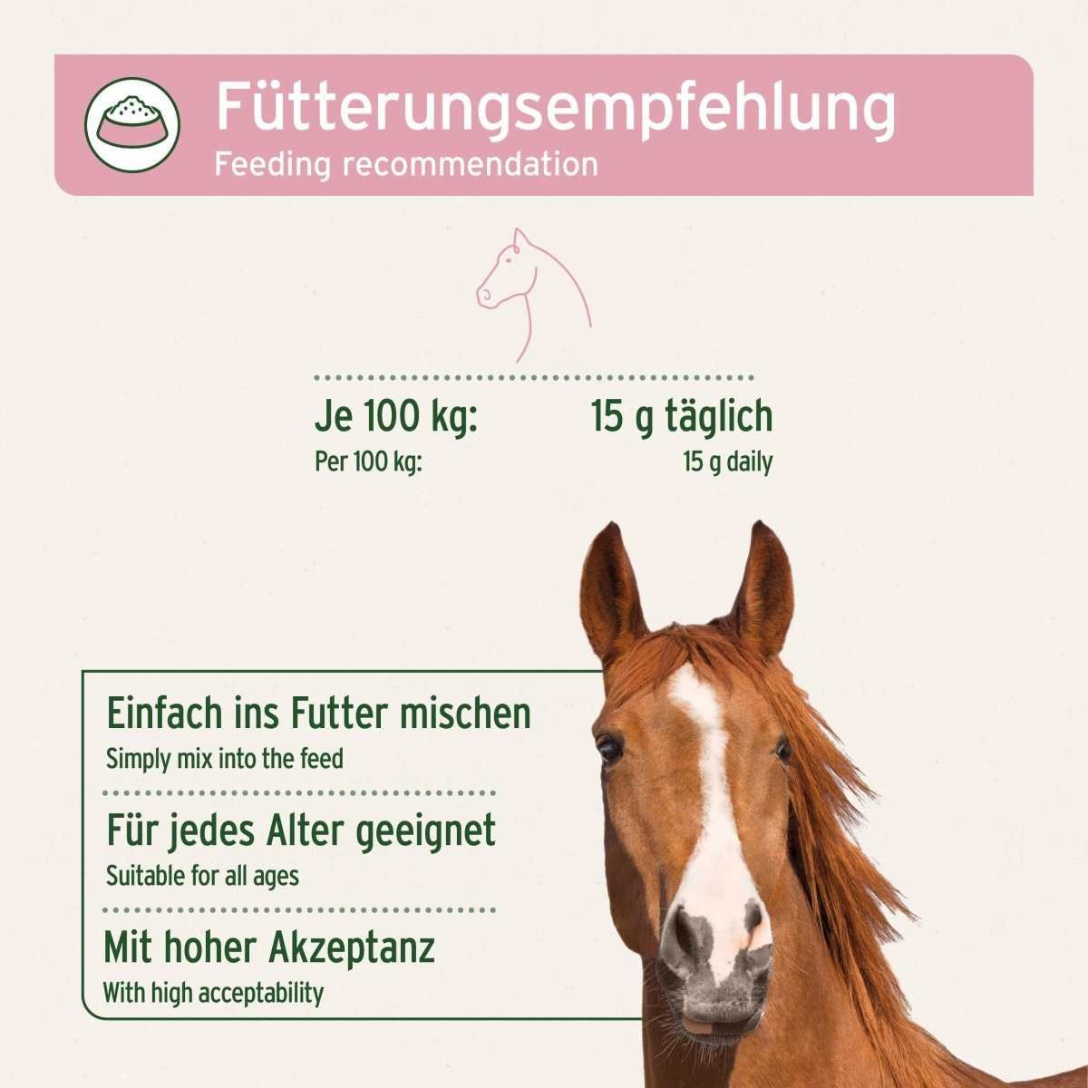 Tier, Pferd, Säugetier, Text