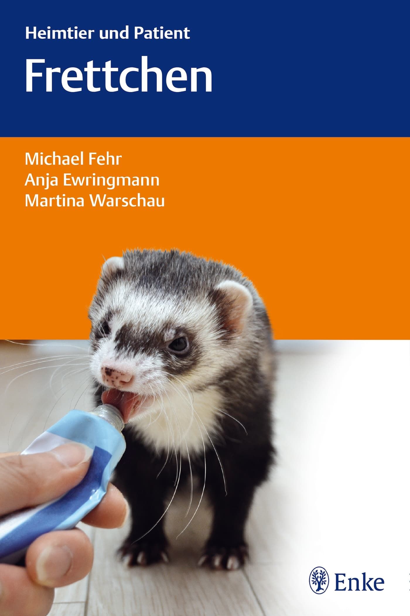 Tier, Säugetier, Ratte, Nagetier, Frettchen