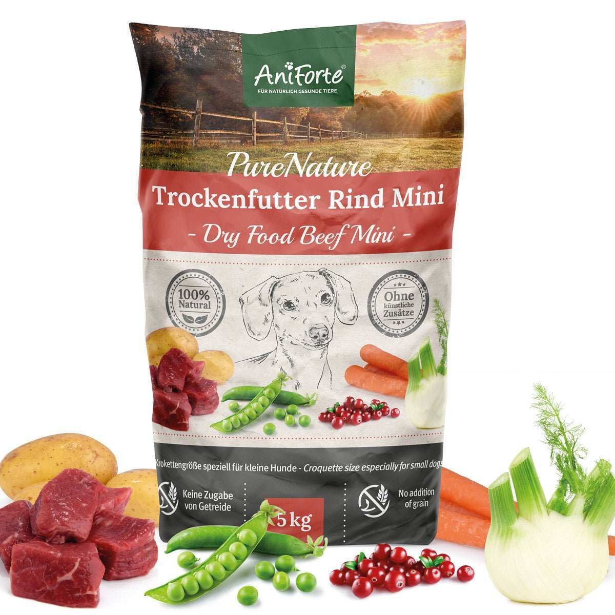 Hund, Säugetier, Haustier, Essen, Produzieren
