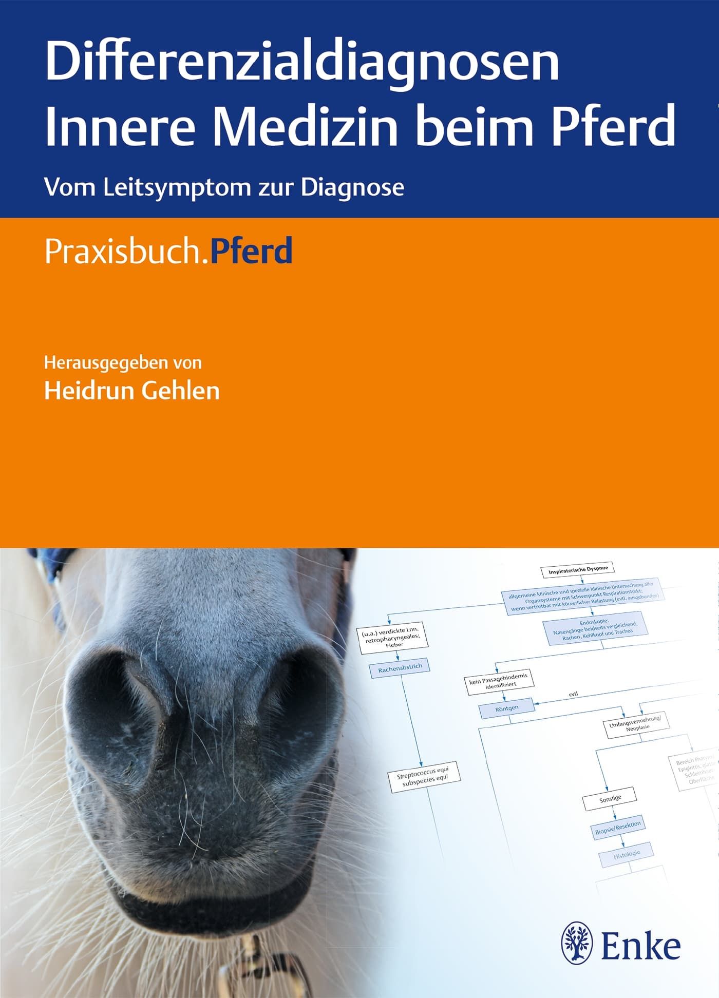 Schnauze, Tier, Säugetier, Schwein