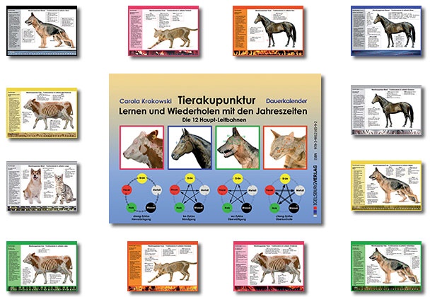 Lernkalender Hauptleitbahnen