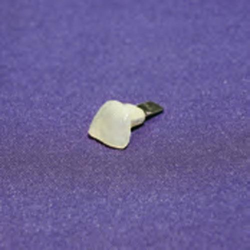 Erler-Zimmer Zehennagel, Nagelpilz, 20er Set für R16080