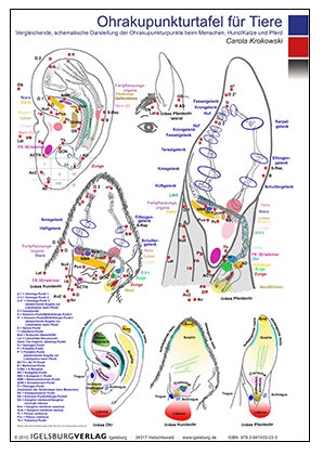 Ohrakupunkturtafel für Tiere
