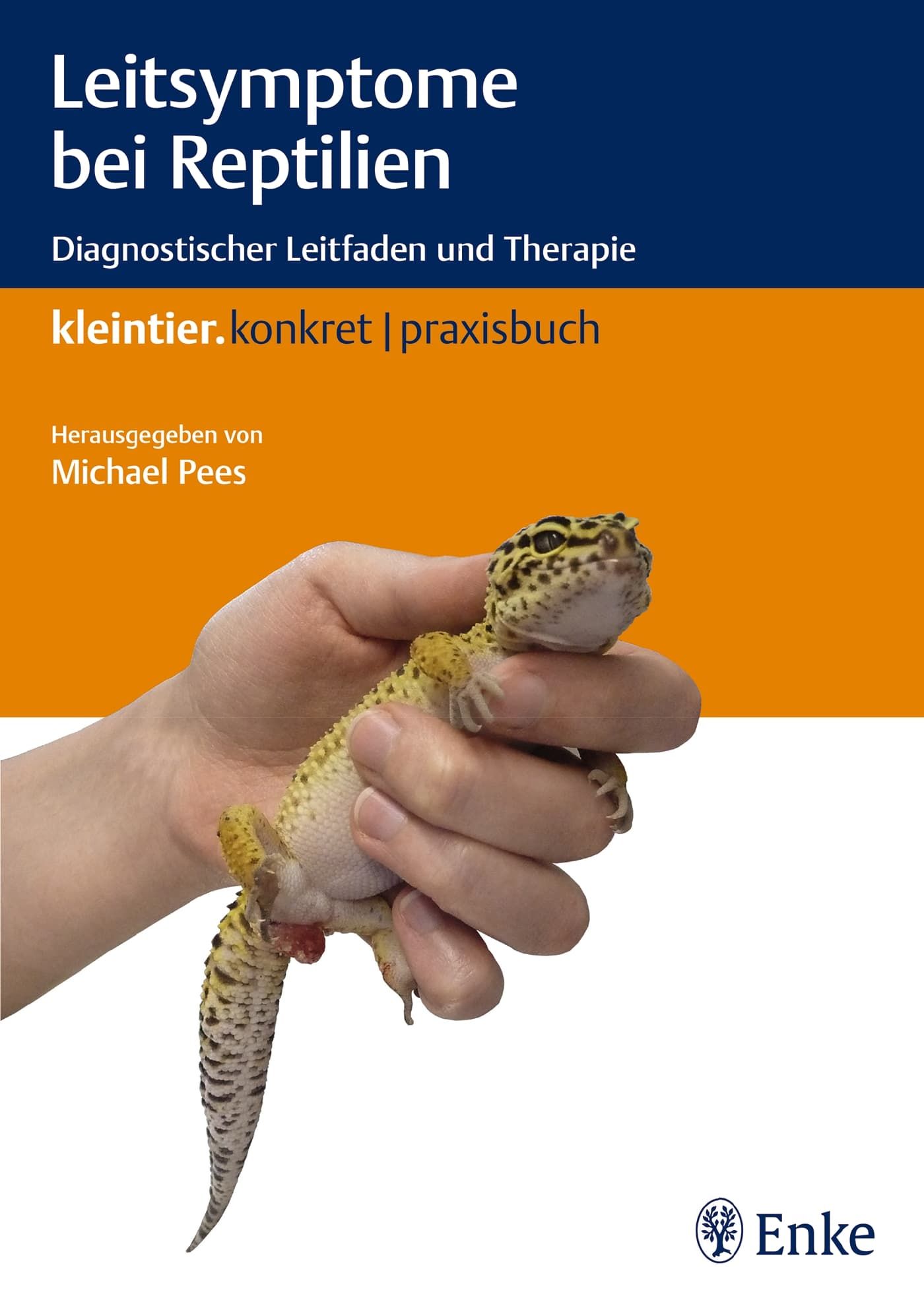 Echse, Reptil, Gecko, Werbung, Plakat