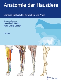 Anatomie der Haustiere