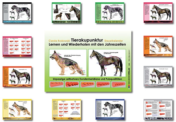 Lernkalender Pulsqualitäten