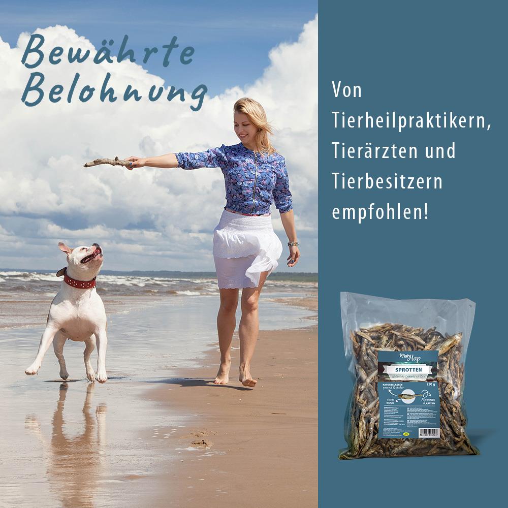 Erwachsener, Weiblich, Person, Frau, Kurze Hose