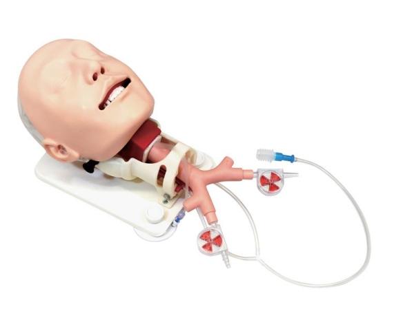 Erler-Zimmer Demonstrationsmodell schwieriges Atemwegsmanagement