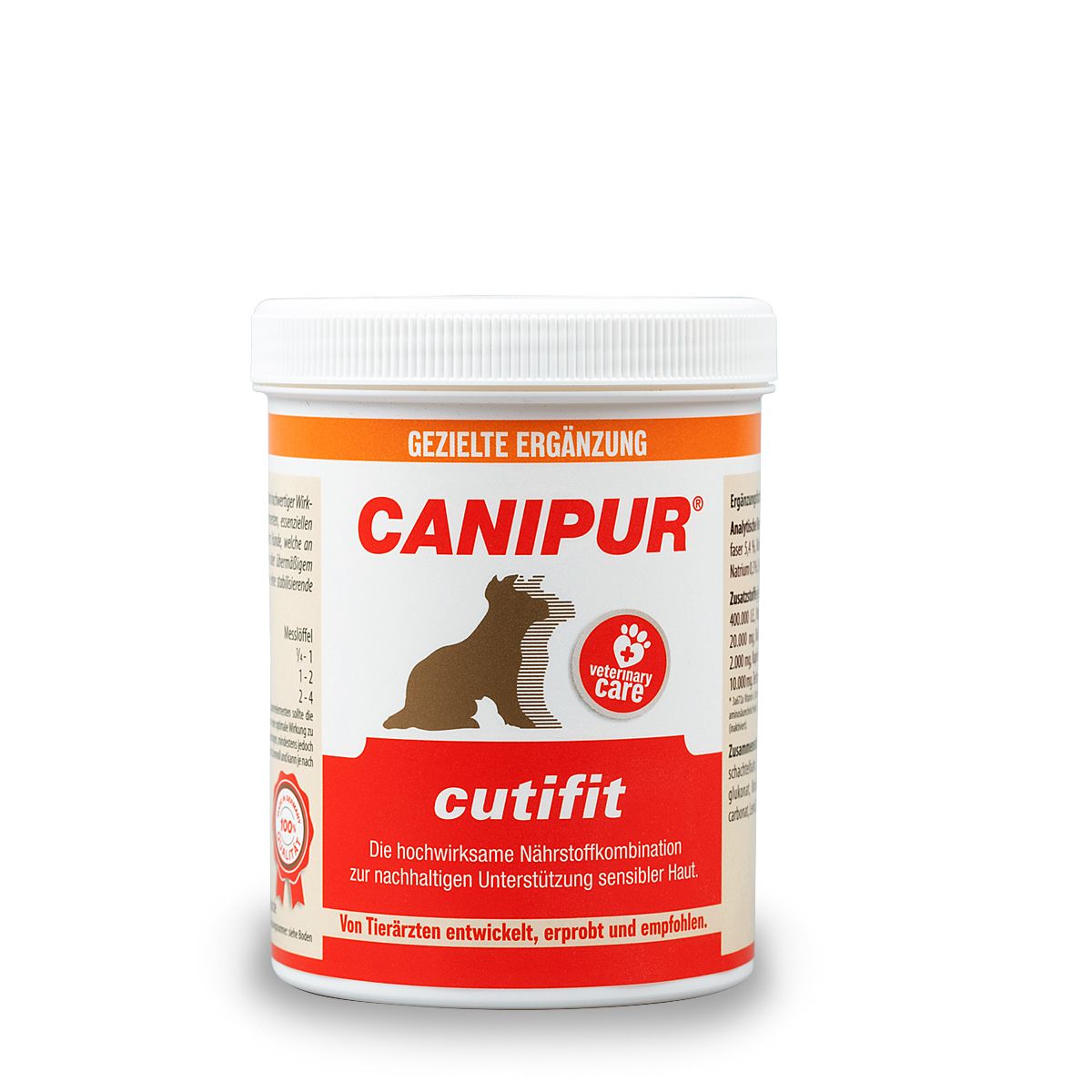 Tier, Bär, Säugetier, Tierwelt