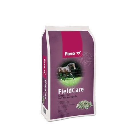 Tier, Pferd, Säugetier, Kräuter, Pflanze