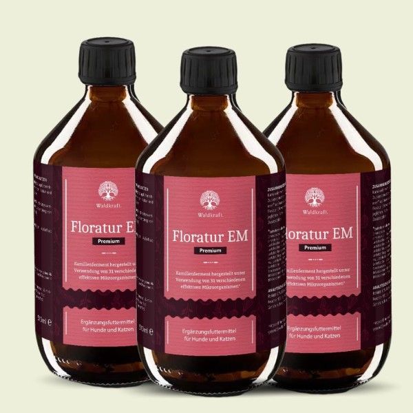 Waldkraft Set: 3er Pack - Floratur EM Premium - 3x 510ml - 1,53 Liter Essen, Würzen, Sirup, Flasche