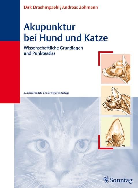 Werbung, Plakat, Katze, Säugetier, Haustier