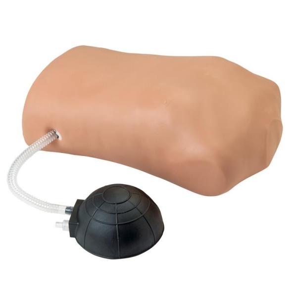 Erler-Zimmer Pneumothorax-Simulator