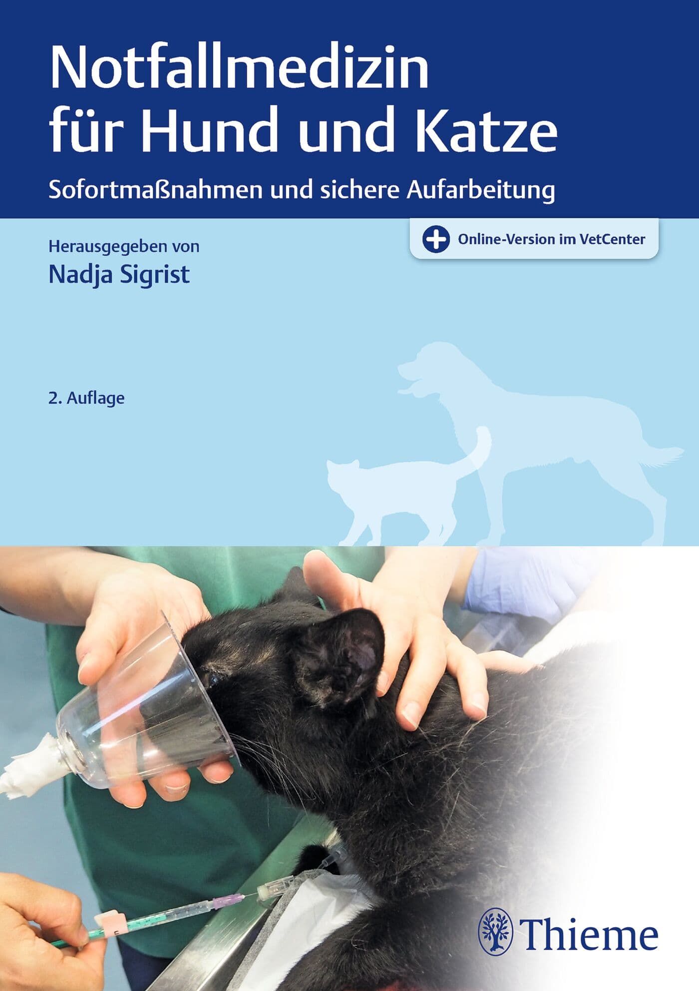 Doktor, Person, Kleidung, Handschuh, Tierarzt