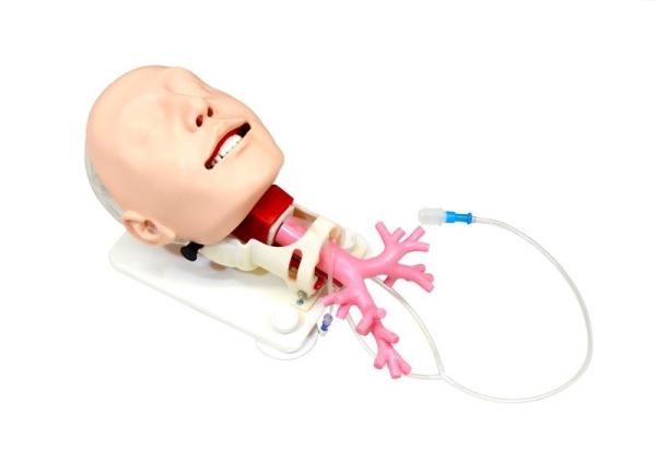Erler-Zimmer Simulator für schwieriges Atemwegsmanagement für die Fiberbronchosskopie