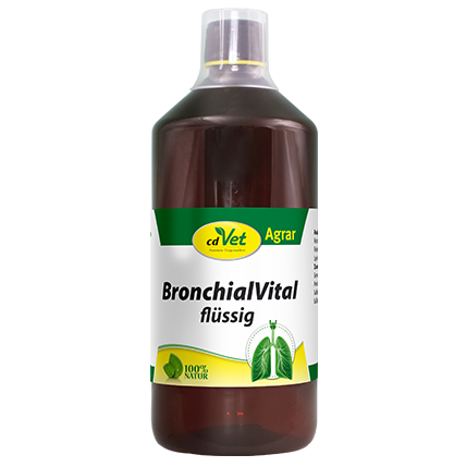 Essen, Würzen, Sirup