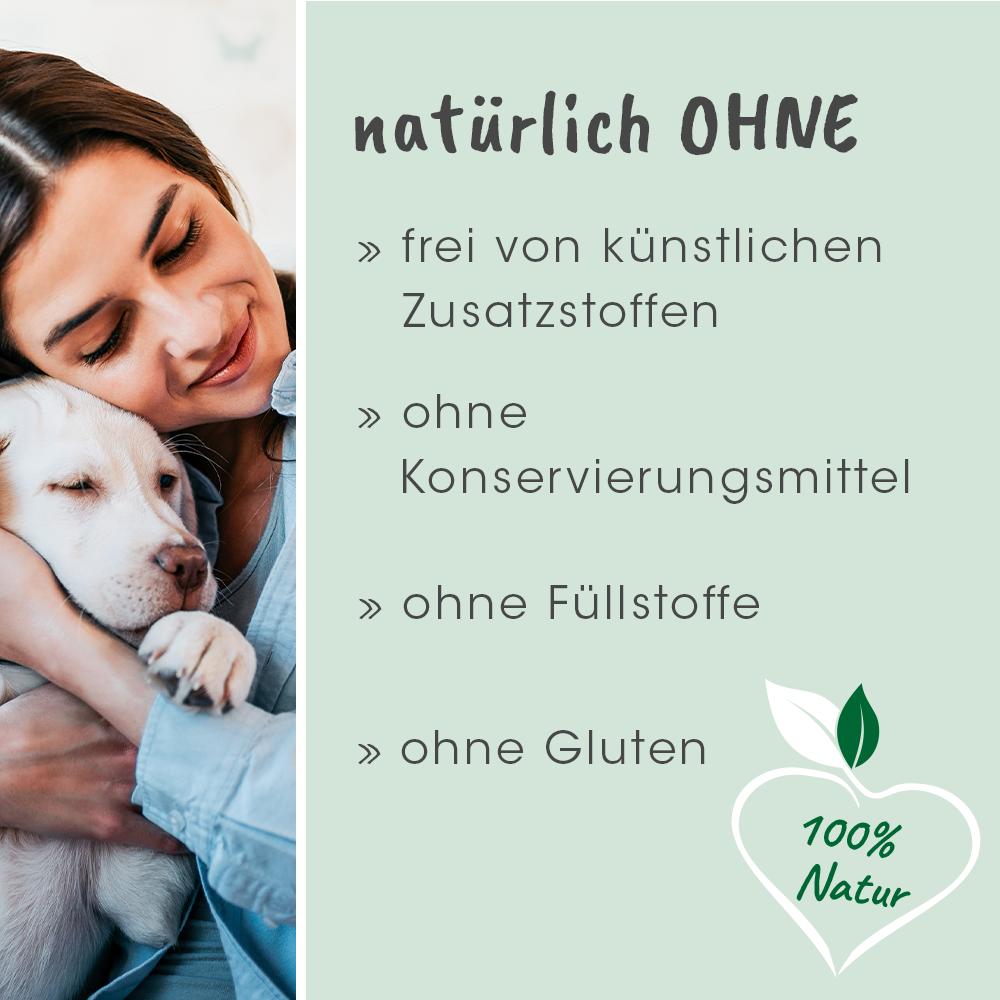 Hund, Säugetier, Haustier, Werbung, Plakat
