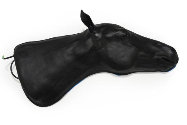 Erler-Zimmer Pferde Simulator 1.0