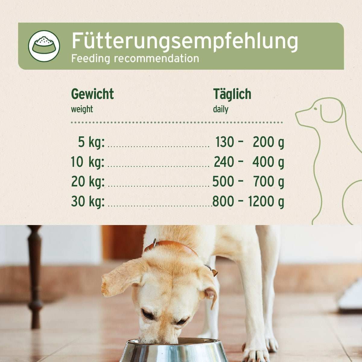 Text, Hund, Säugetier, Haustier