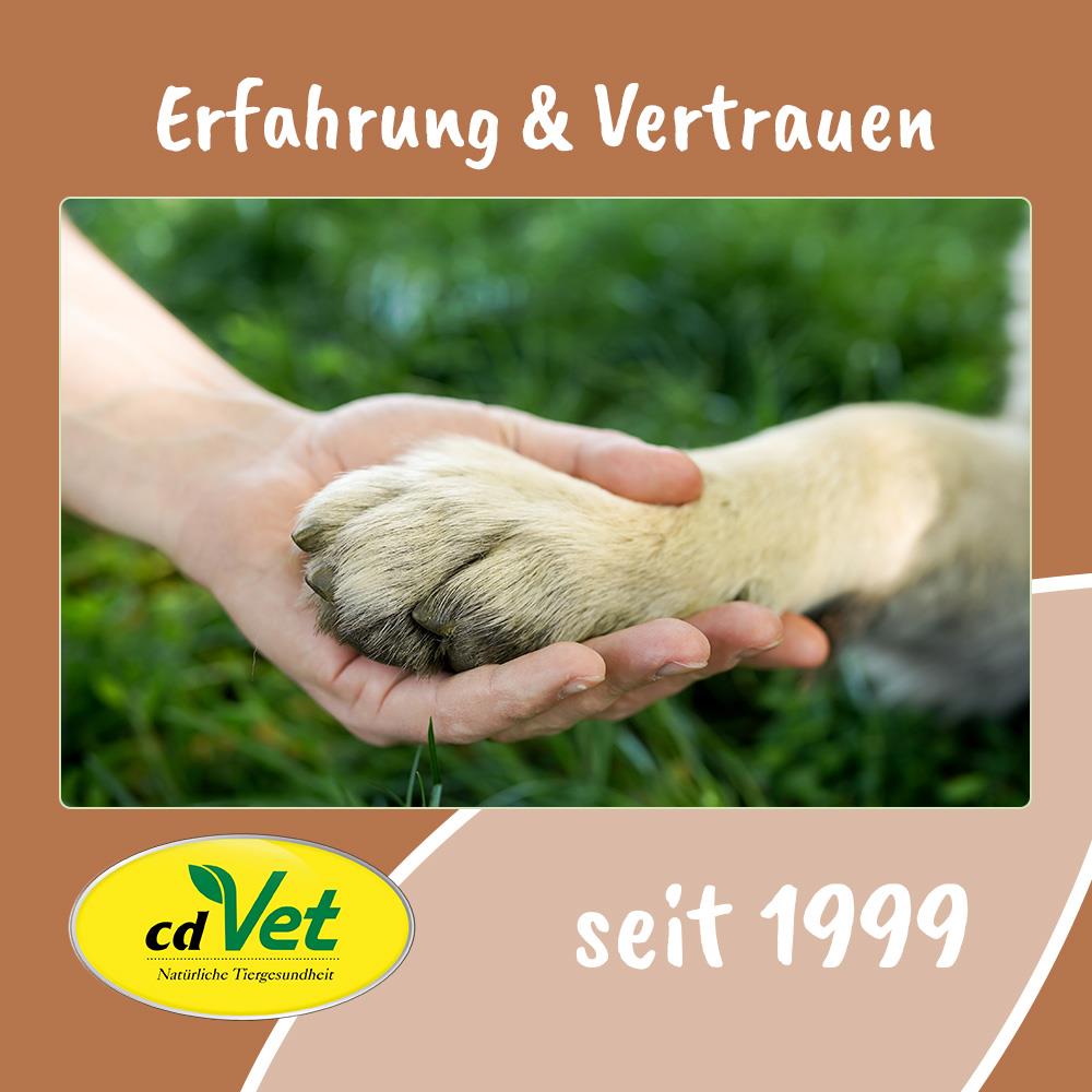 Elektronik, Hardware, Säugetier, Ratte, Nagetier