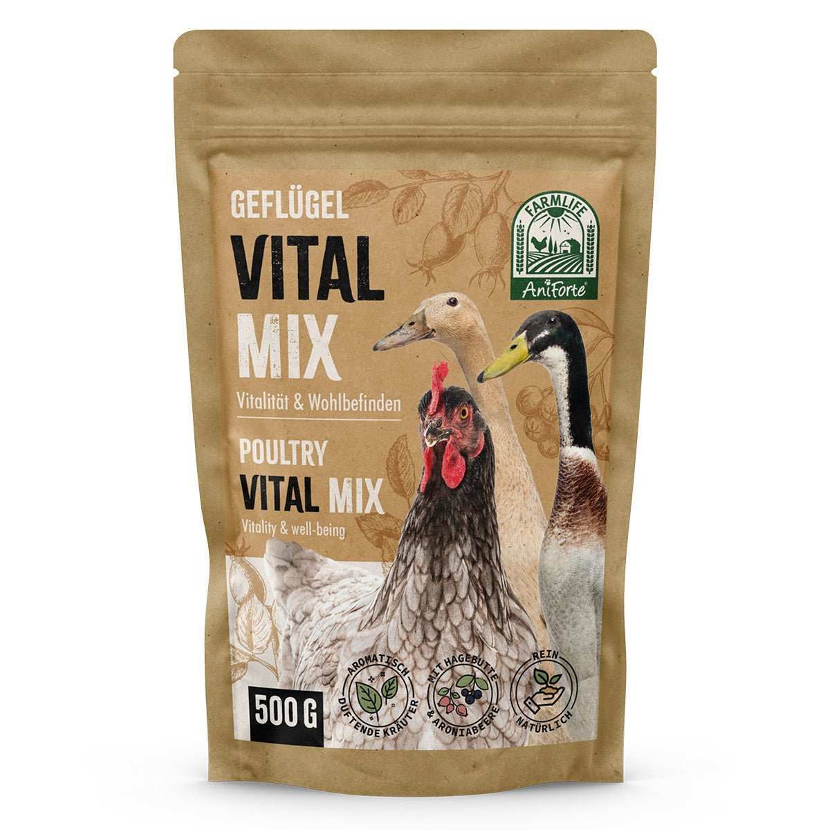 Tier, Schnabel, Vogel, Hühnchen, Geflügel