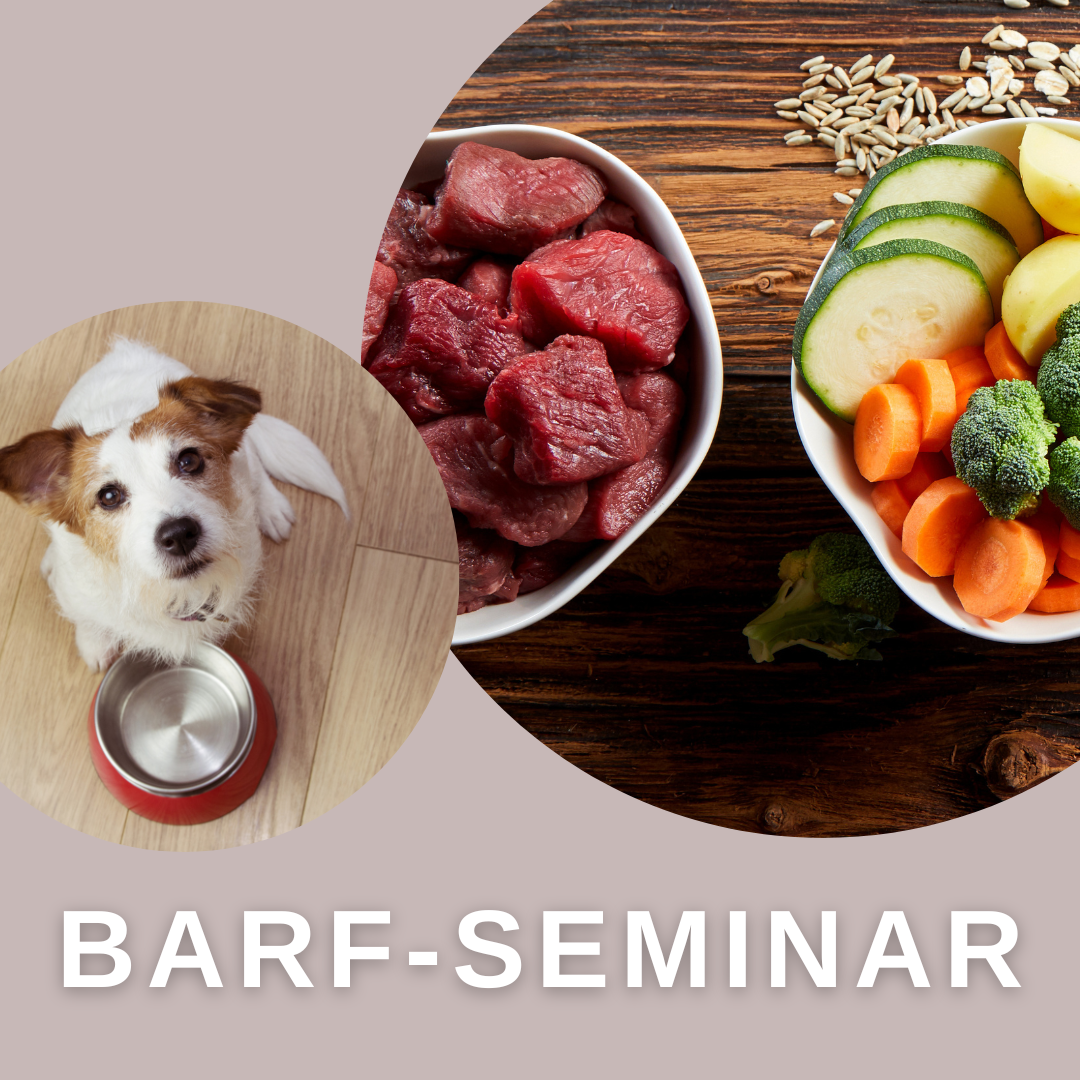 BARF Seminar