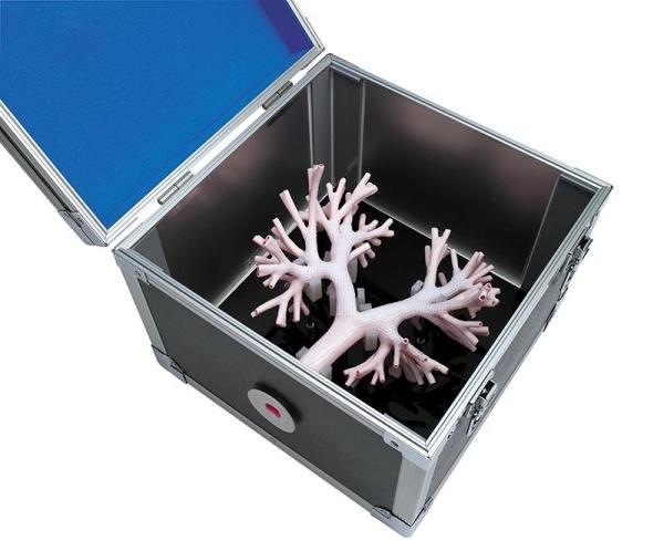 Erler-Zimmer Bronchoskopietrainer