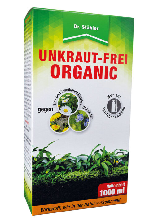 Kräuterig, Pflanze, Getränk, Tee, Grüner Tee