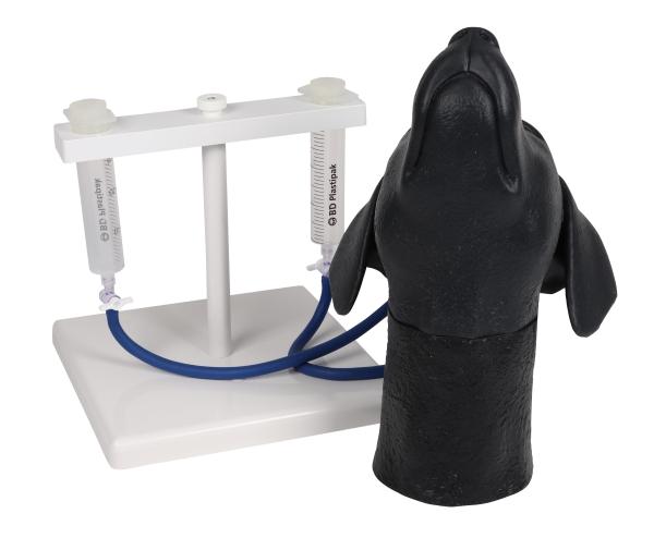 Erler-Zimmer Halsvenenpunktionskopf Hund