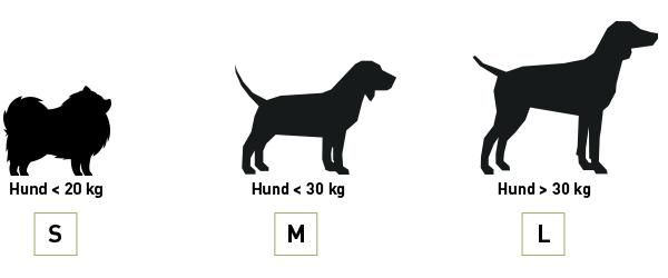 Silhouette, Hund, Säugetier, Haustier