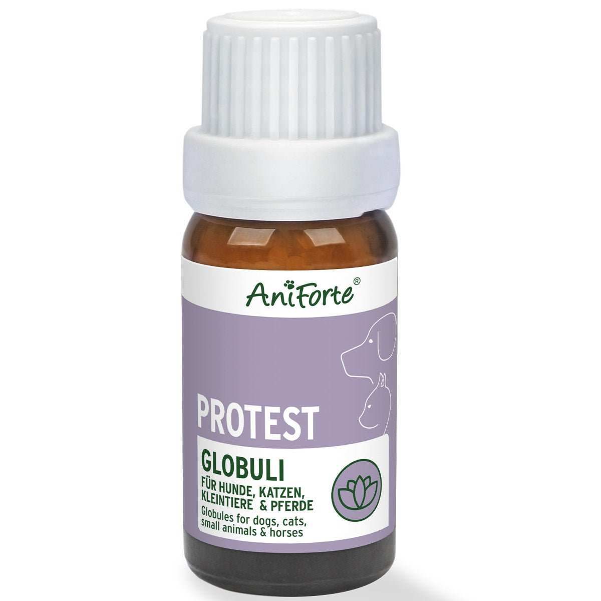 Kräuterig, Kräuter, Pflanze, Würzen, Sirup