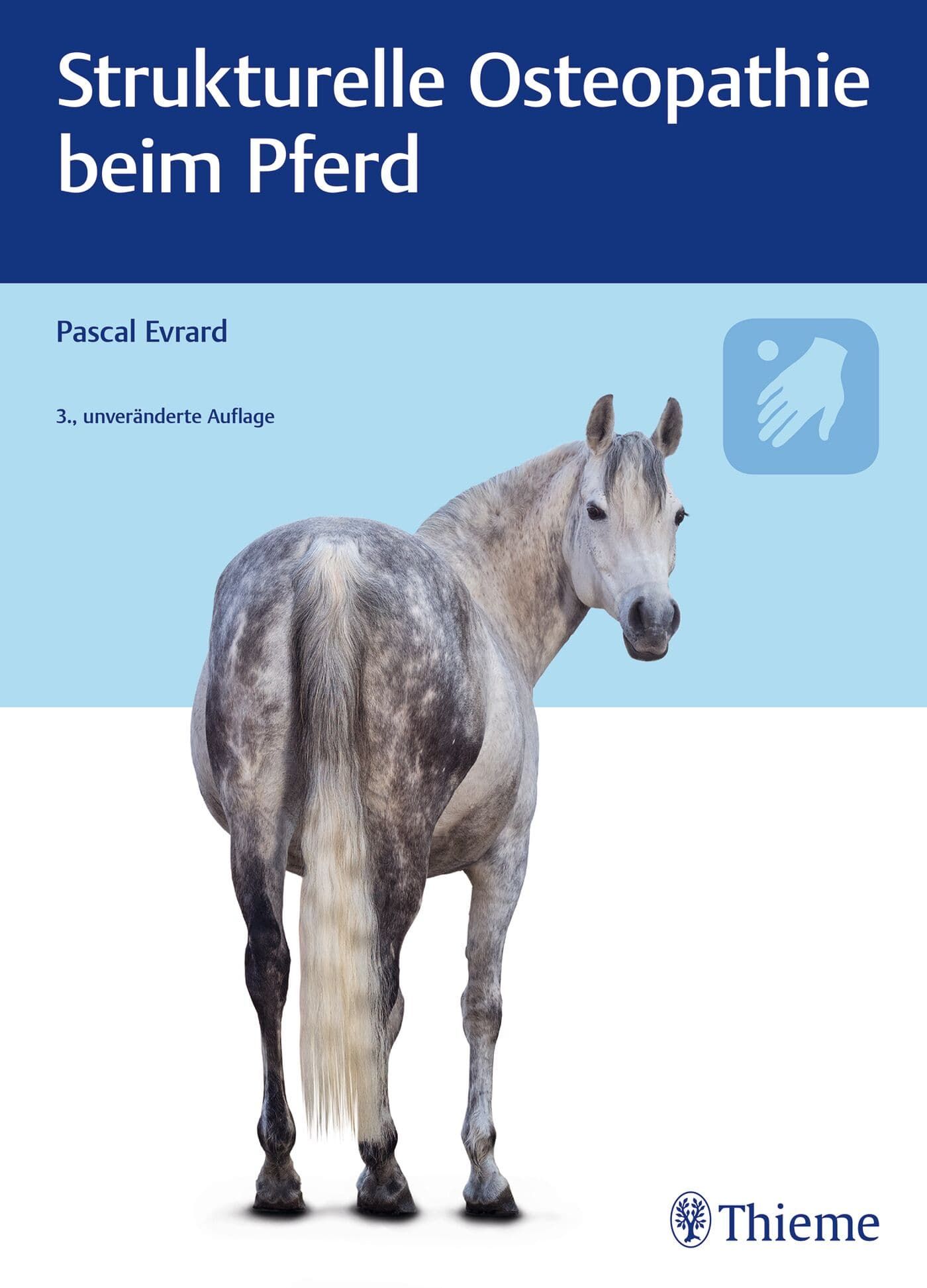 Tier, Pferd, Säugetier
