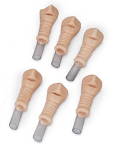 Erler-Zimmer Ersatztrachea, 6er Set, Erwachsene