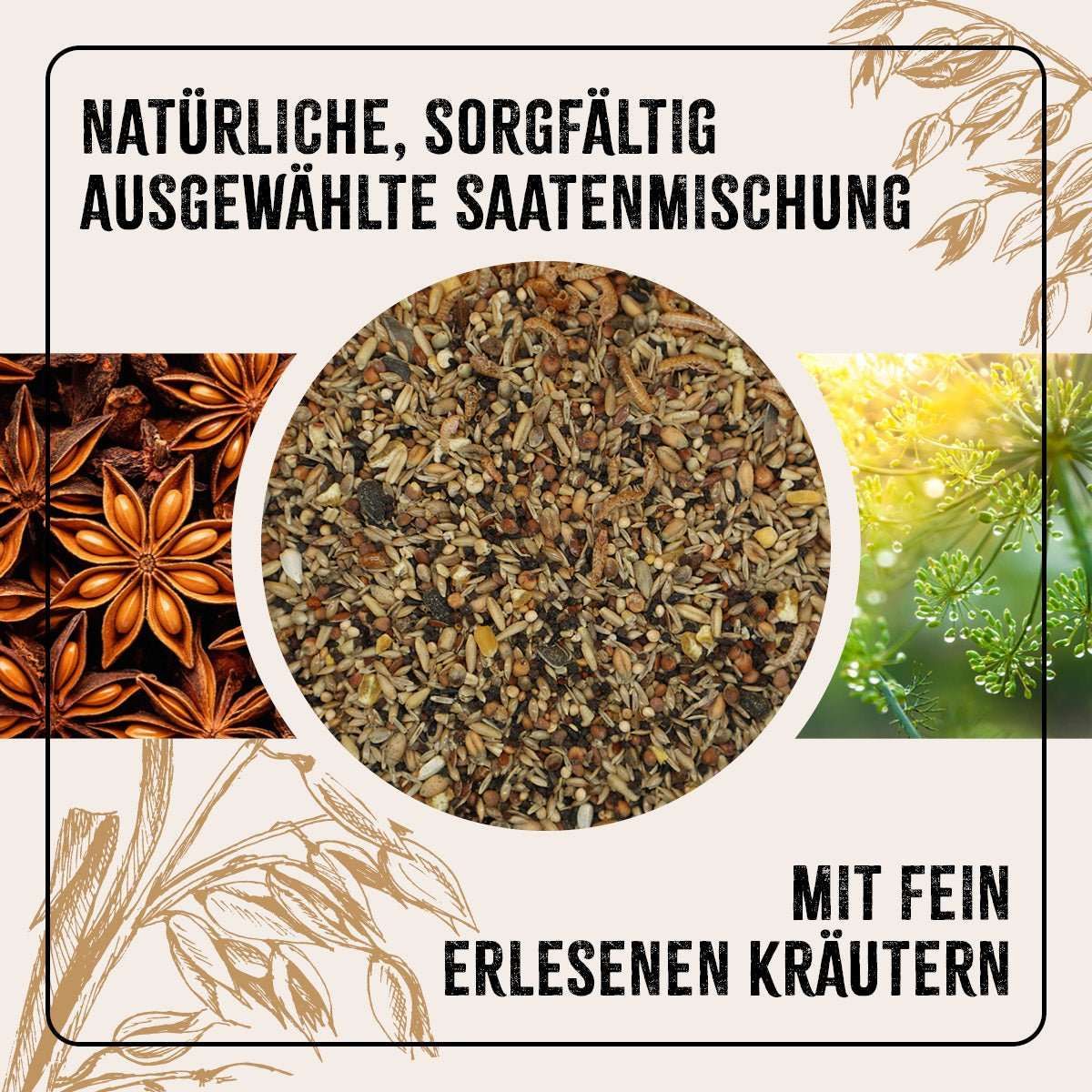 Pflanze, Kräuter, Essen