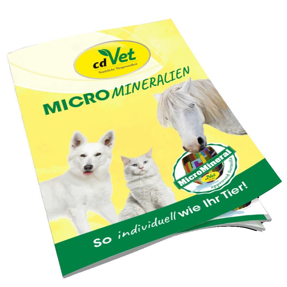 Werbung, Plakat, Hund, Haustier, Katze