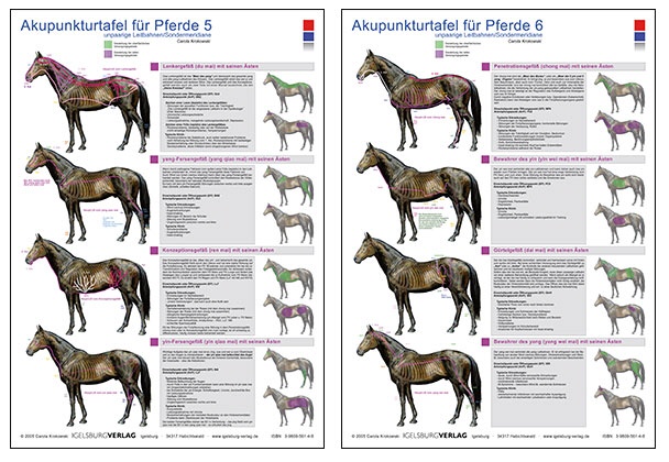 Akupunkturtafel Pferd 5 & 6
