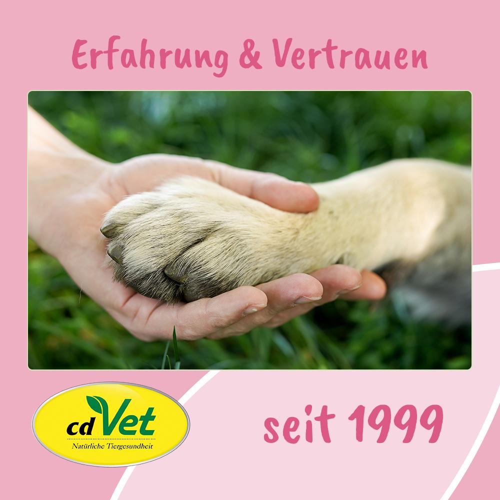 Elektronik, Hardware, Säugetier, Ratte, Nagetier, Elektronik, Hardware, Säugetier, Ratte, Nagetier