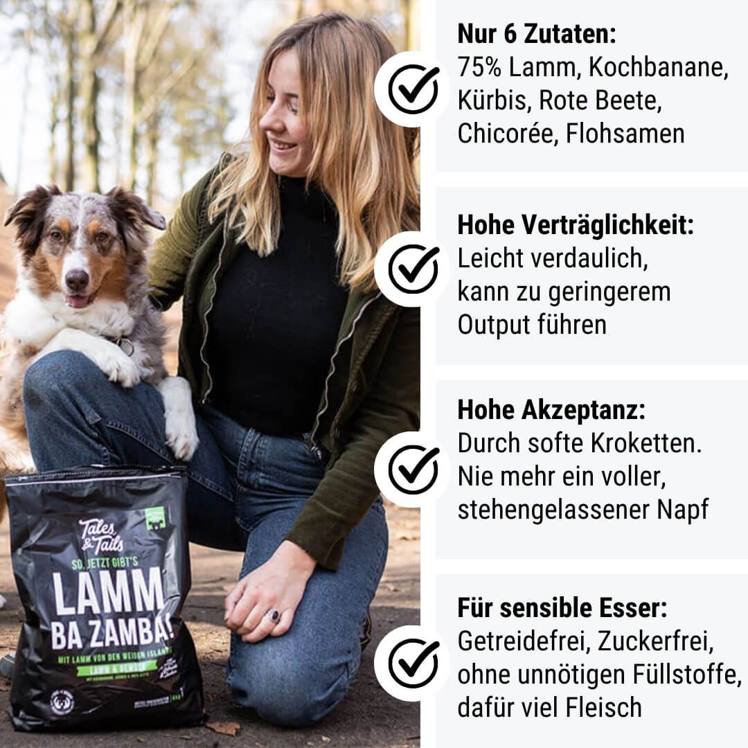 Erwachsener, Weiblich, Person, Frau, Hosen