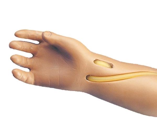 Erler-Zimmer Injektions - Übungsarm für R17700