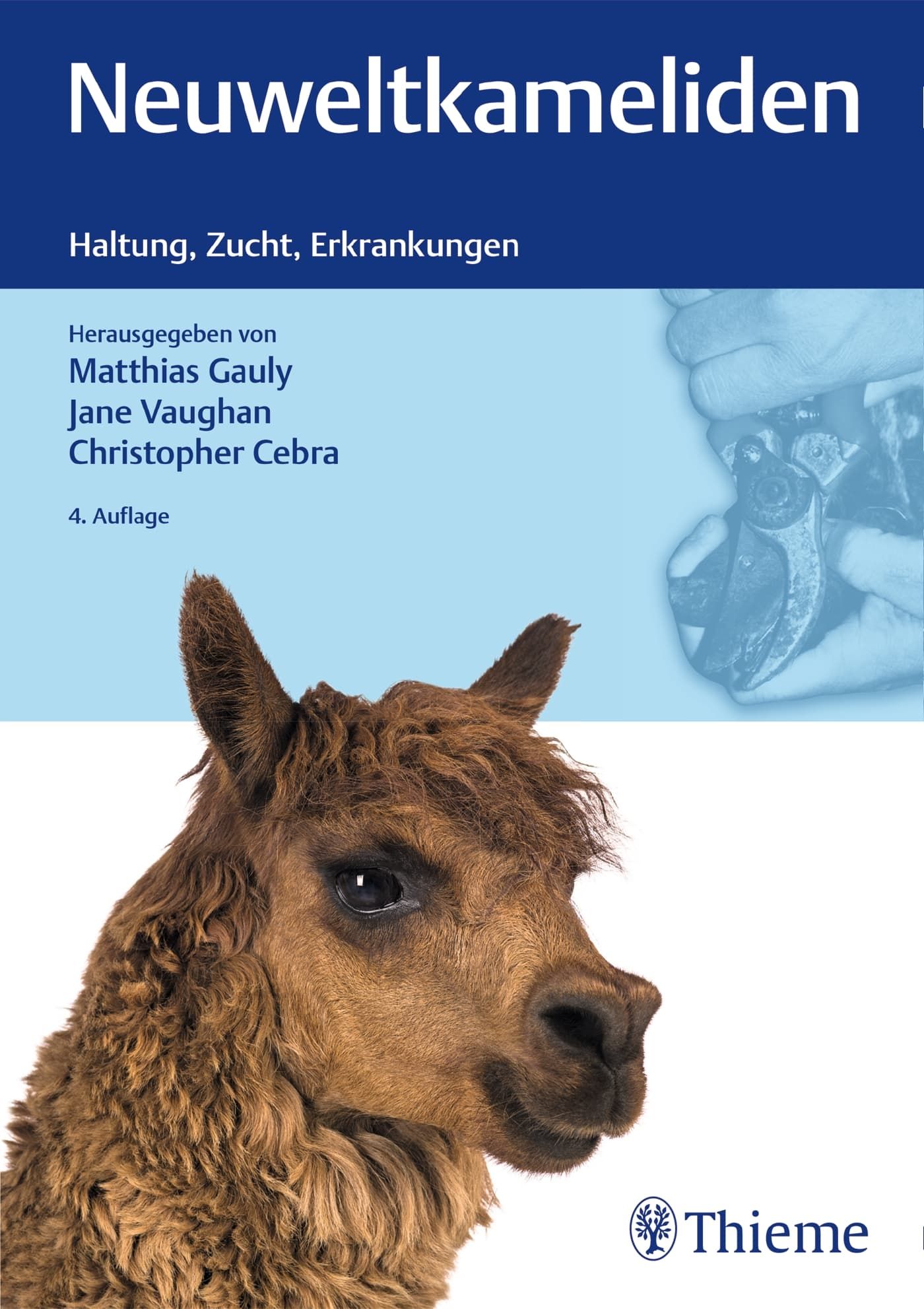 Tier, Säugetier, Pferd