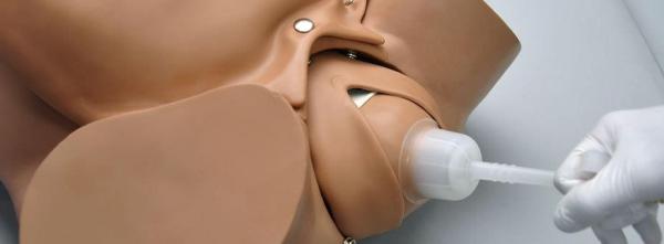 Erler-Zimmer Fötales Baby, Nabelschnur und Plazenta zur Saugglockenentbindung