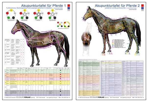 Akupunkturtafel Pferd 1 & 2