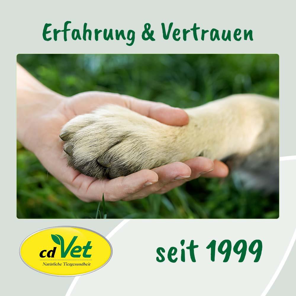 Elektronik, Hardware, Säugetier, Ratte, Nagetier, Elektronik, Hardware, Säugetier, Ratte, Nagetier