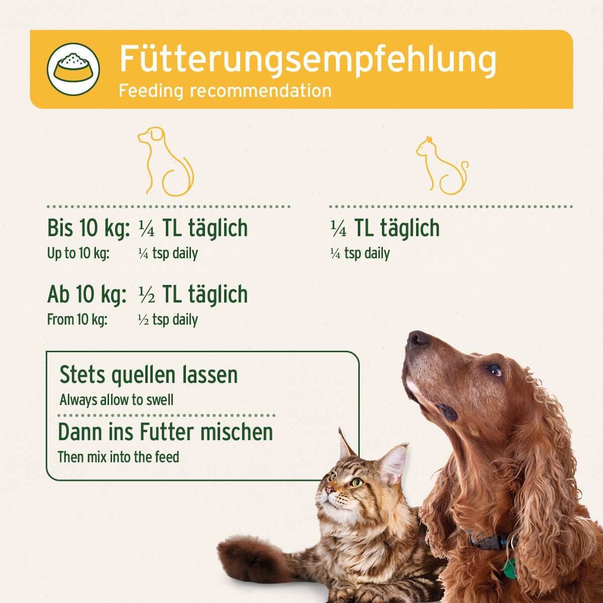 Hund, Haustier, Katze, Text, Werbung