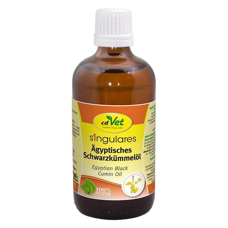 Essen, Würzen, Sirup, Kräuterig, Pflanze