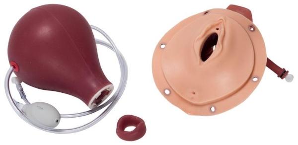 Erler-Zimmer Modul Postpartale Blutung für R17860